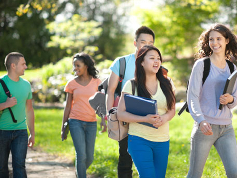 ddos在线压力测试平台